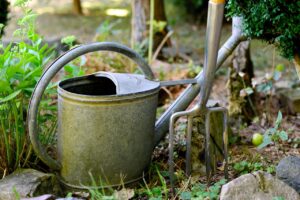 watering can, digging fork, gardening