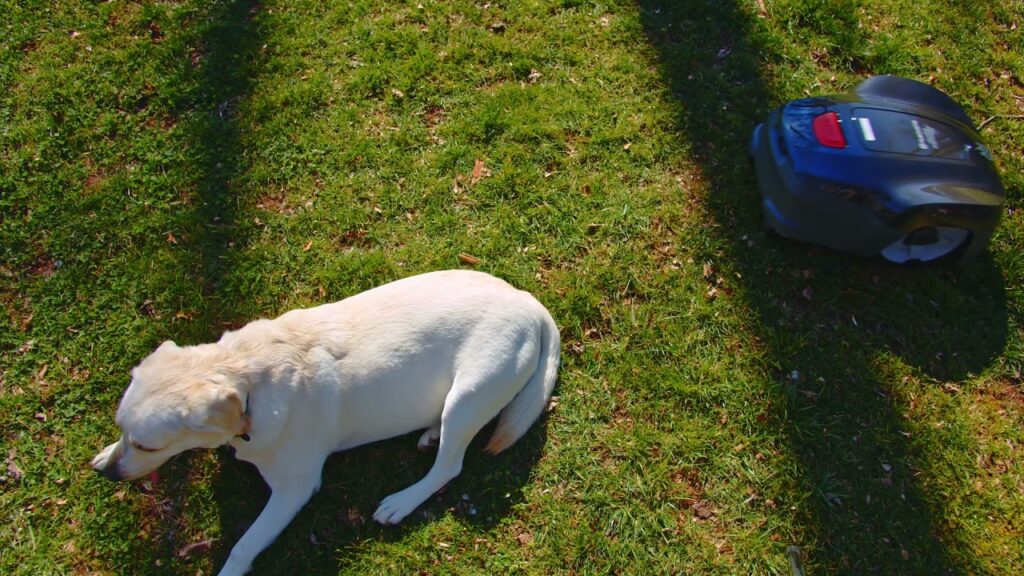 Are Automower® Robotic Lawn Mowers Safe? | Husqvarna