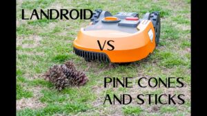 Worx Landroid versus Pine Cones