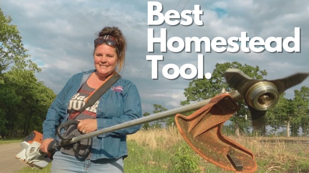 The Best Tool For A Homestead: Clearing The Fence Line with Stihl FS131R Brush Cutter Steel Triblade