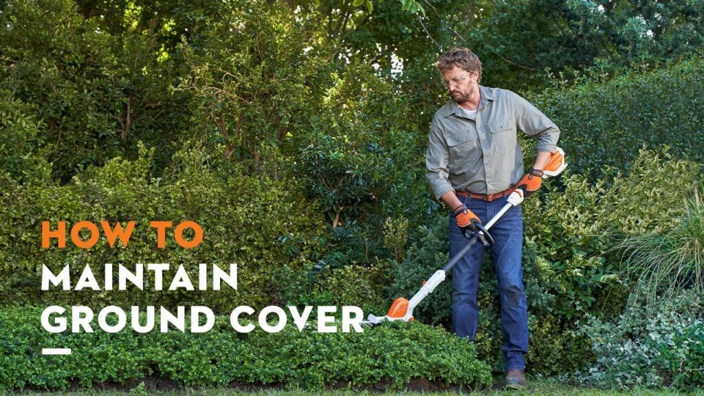 STIHL manual: Maintaining ground cover