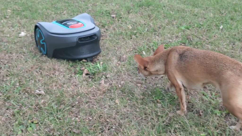 Gardena Robotic Lawn Mower - Mowing Firepit Without Guide Lines