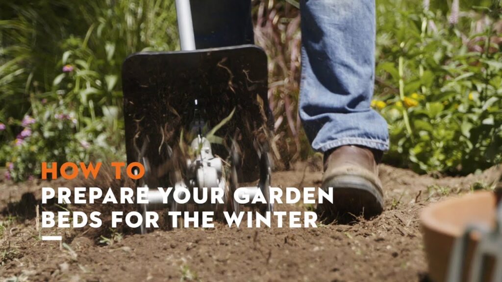 How to prepare your garden for the winter