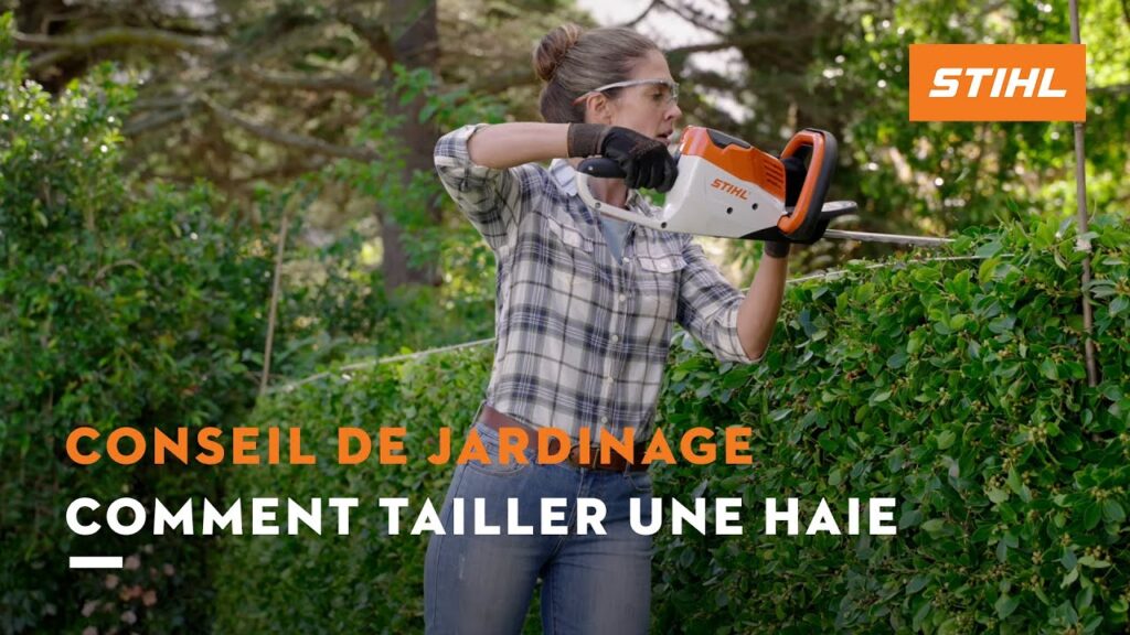 Comment tailler une haie | Conseils de jardinage STIHL