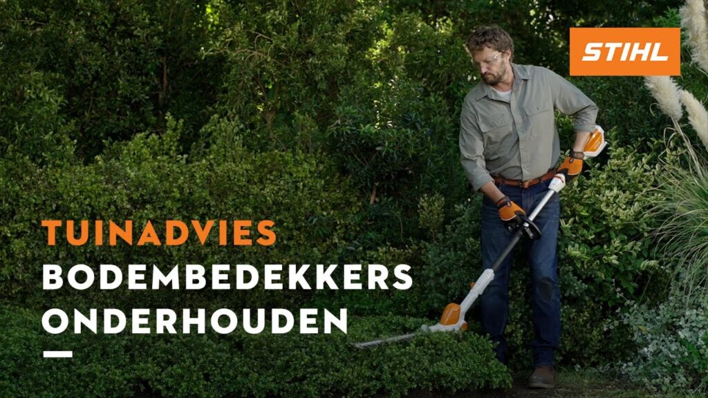 Bodembedekkers onderhouden - STIHL Tuinadvies