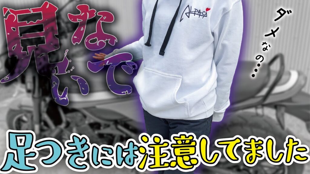 【Z900RS】足つきを極限まで改善した結果、違う理由でコケました【状態確認】