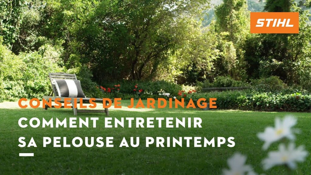 Entretien du gazon au printemps | Conseils de jardinage STIHL