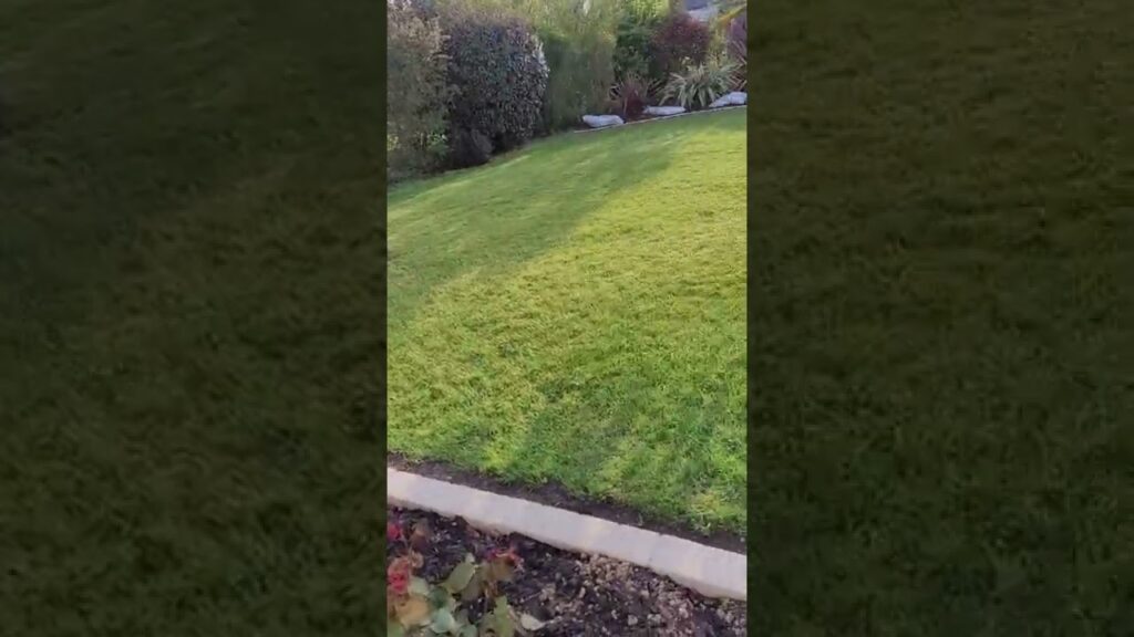 coupe parfaite gardena sileno 450 m2