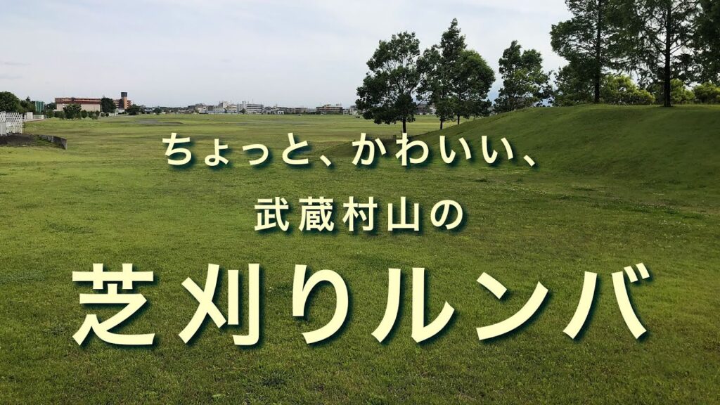 ちょっとかわいい、武蔵村山の芝刈りルンバ。