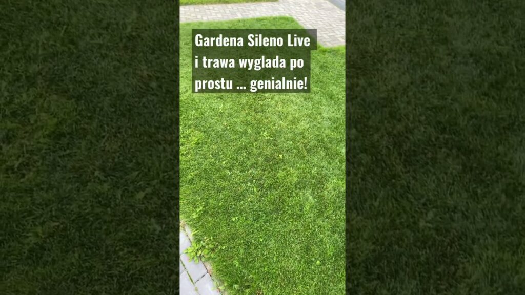 Gardena Sileno Live