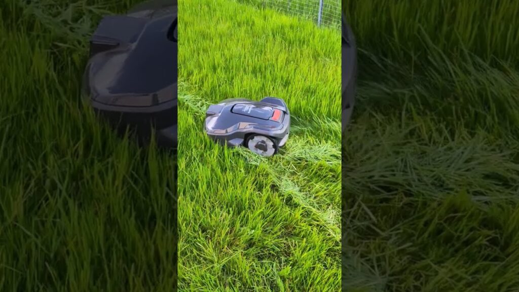 You won't believe how Husqvarna Automower 305 is cutting through extremly tall grass