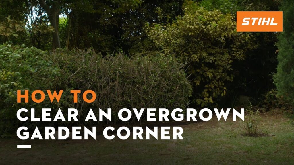 How to clear an overgrown garden | STIHL Tutorial