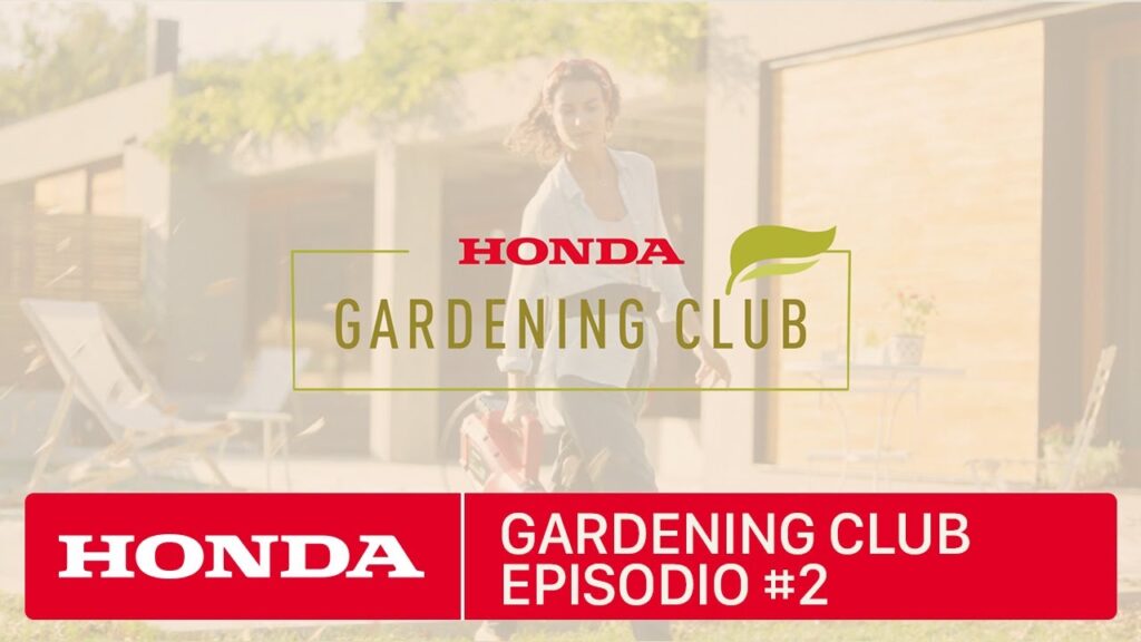 Honda Gardening Club - Buscando ideas