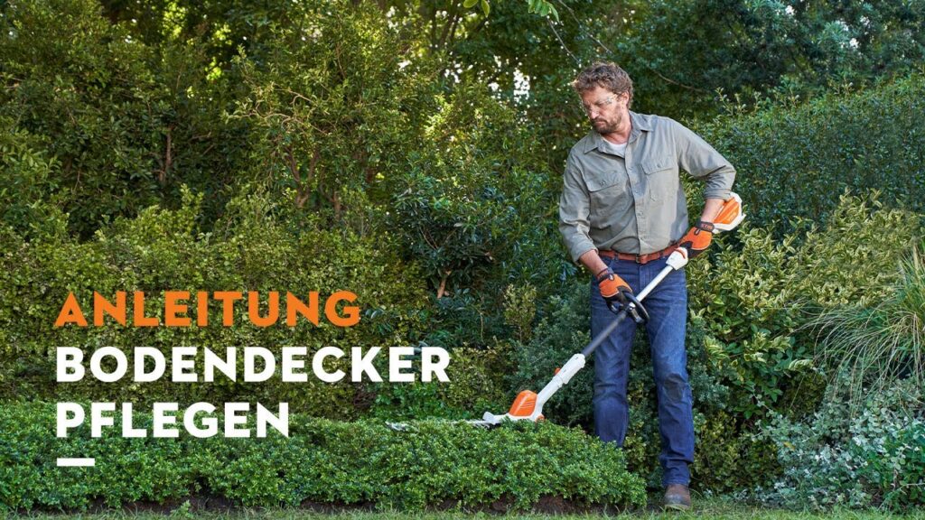 STIHL Garten-Tipps: Bodendecker pflegen | Anleitung