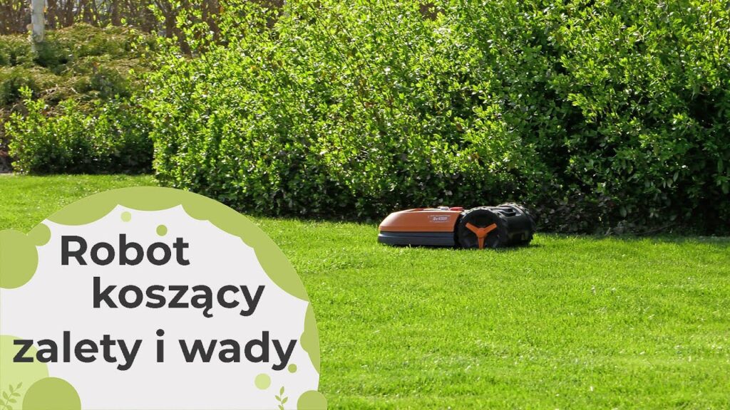 Robot koszący zalety i wady po kilku latach użytkowania.