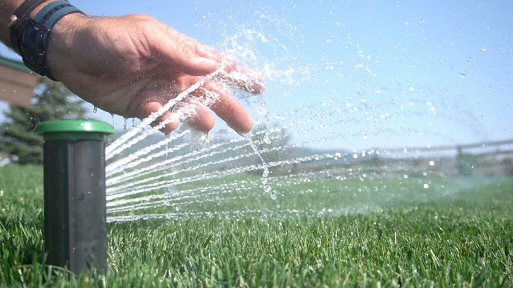 I cut HALF THE WATER on my lawn. You Won't Believe The Results!