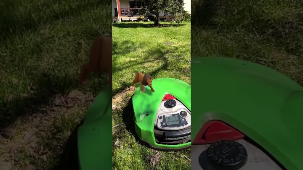 Virtual Lion Can't Stop Real Lawnmower Robot iMow | Adobe Aero Recording, Virtual Reality