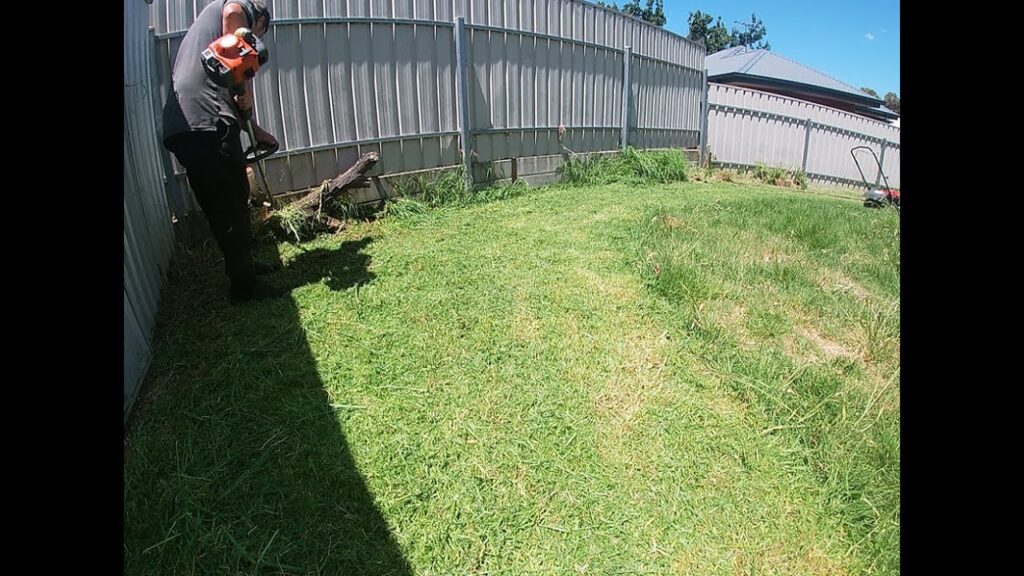 Lawn mowing overgrown grass in backyard with #Honda lawn mower #LawnCare