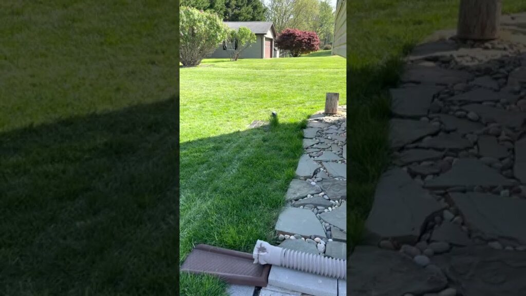 2022 Worx Landroid Review and how my yard looks.  The good and the bad after two seasons. Worth it?