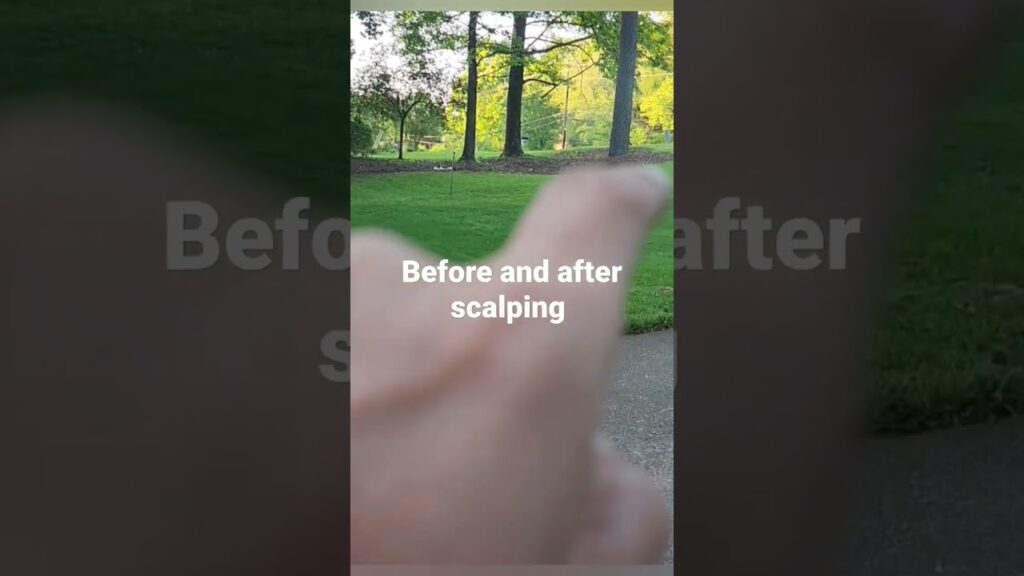before and after scalping johndeere, 220ecut hybrid #youtubeshorts #lawncare #diy #lawnmower