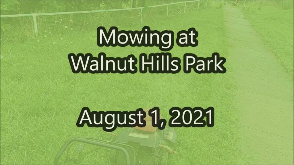 Mowing the overgrown park...AGAIN!