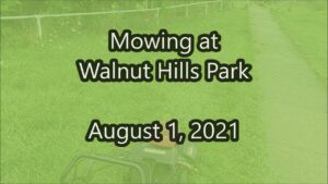 Mowing the overgrown park...AGAIN!