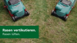 Garten-Wissen: Tipps und Tricks rund ums Rasen vertikutieren und lüften
