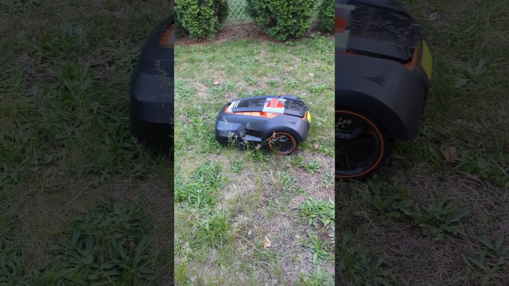 Meet My Helpful MowRo Robot Lawn Mower #robotlawnmower #roboticlawnmower #MowRo #mower