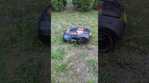 Meet My Helpful MowRo Robot Lawn Mower #robotlawnmower #roboticlawnmower #MowRo #mower