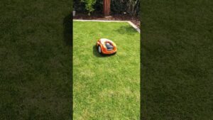 Stihl RMI422 starts mowing #robotmower #stihl