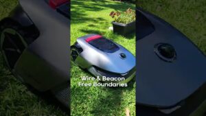 Effortless Lawn Care