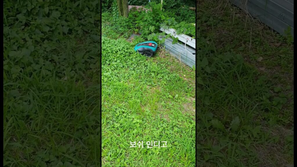 로봇잔디깍이 보쉬 Robotic grass Bosch  전체 영상  설명을 참고하세요   Please see the description.
