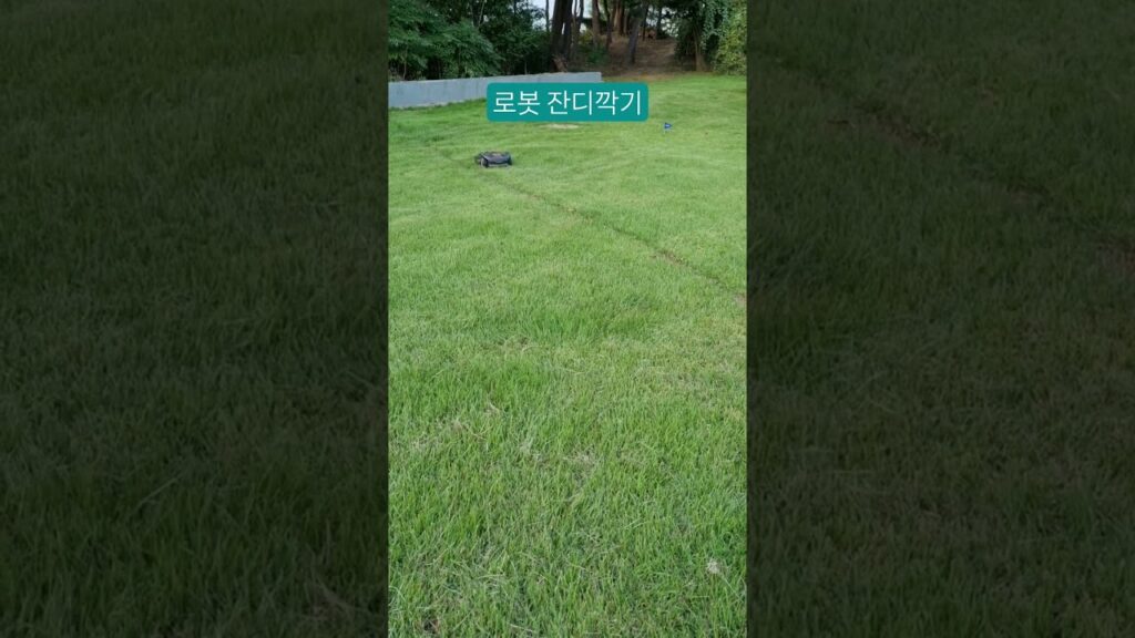 로봇 잔디 깍기