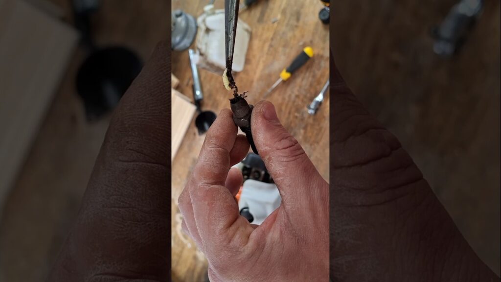 Fixing the bugs on a Stihl Fs55r