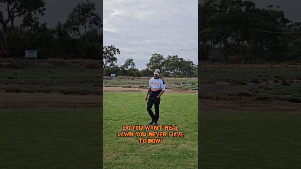 Stihl iMow evo 5 Robotic Mower @STIHL_Australia